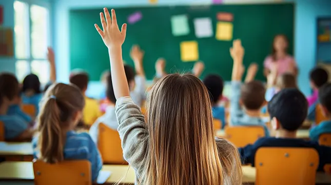 Education and Schools