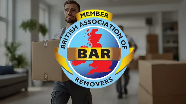 Check Their Professional Credentials