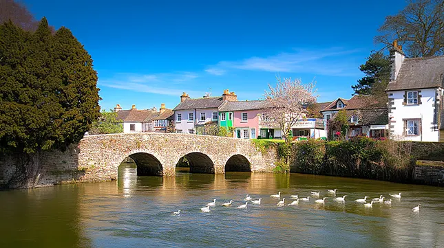 Why Choose a Local Removals Company in Christchurch